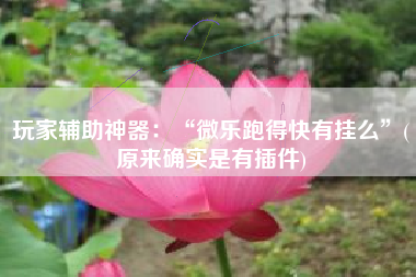 玩家辅助神器：“微乐跑得快有挂么”(原来确实是有插件)