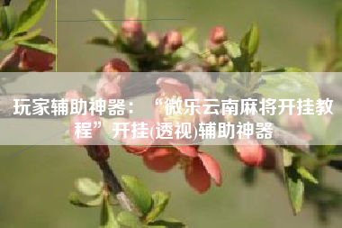 玩家辅助神器：“微乐云南麻将开挂教程”开挂(透视)辅助神器