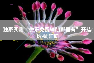 独家实测“微乐免费辅助哪里有”开挂(透视)辅助