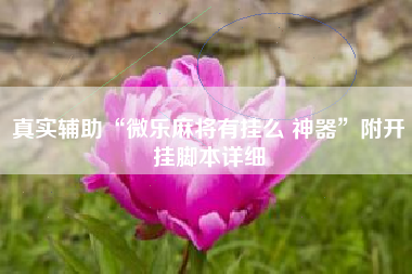 真实辅助“微乐麻将有挂么 神器	”附开挂脚本详细