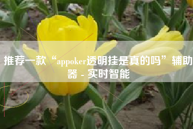 推荐一款“appoker透明挂是真的吗”辅助器 - 实时智能
