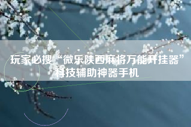 玩家必搜“微乐陕西麻将万能开挂器”科技辅助神器手机