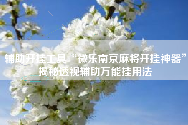 辅助开挂工具“微乐南京麻将开挂神器”揭秘透视辅助万能挂用法