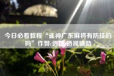 今日必看教程“雀神广东麻将有防挂的吗”作弊(透视)透视辅助