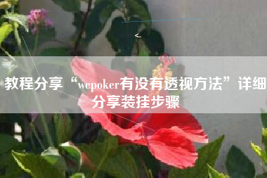 教程分享“wepoker有没有透视方法”详细分享装挂步骤