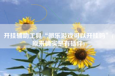开挂辅助工具“微乐游戏可以开挂吗	”(原来确实是有插件)