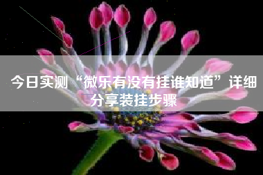 今日实测“微乐有没有挂谁知道”详细分享装挂步骤
