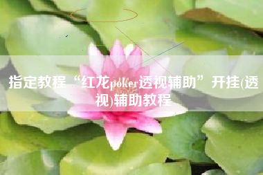 指定教程“红龙poker透视辅助”开挂(透视)辅助教程