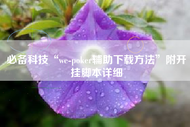必备科技“we-poker辅助下载方法	”附开挂脚本详细