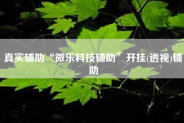 真实辅助“微乐科技辅助	”开挂(透视)辅助