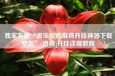 独家实测“微乐捉鸡麻将开挂神器下载安装”(透视)开挂详细教程