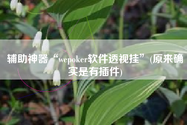 辅助神器“wepoker软件透视挂	”(原来确实是有插件)