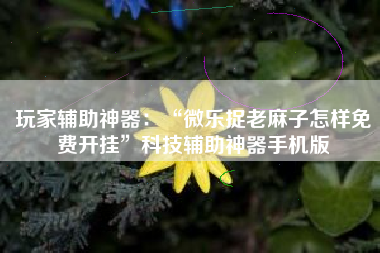 玩家辅助神器：“微乐捉老麻子怎样免费开挂”科技辅助神器手机版