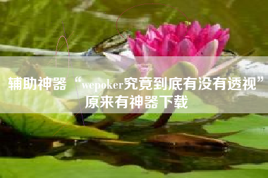 辅助神器“wepoker究竟到底有没有透视”原来有神器下载
