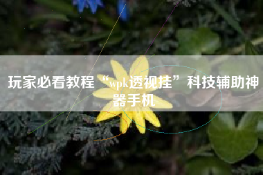 玩家必看教程“wpk透视挂”科技辅助神器手机