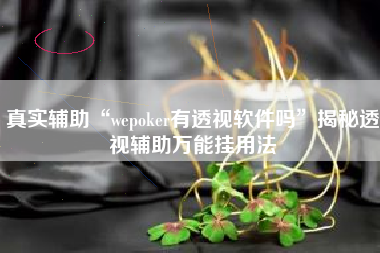 真实辅助“wepoker有透视软件吗”揭秘透视辅助万能挂用法