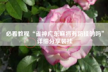 必看教程“雀神广东麻将有防挂的吗”详细分享装挂