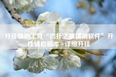 开挂辅助工具“德扑之星辅助软件	”开挂辅助脚本+详细开挂