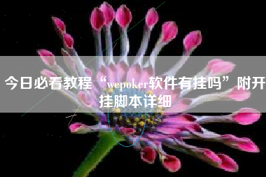 今日必看教程“wepoker软件有挂吗	”附开挂脚本详细