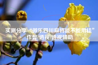 实测分享“微乐四川麻将能不能用挂”作弊(透视)透视辅助
