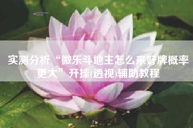 实测分析“微乐斗地主怎么来好牌概率更大	”开挂(透视)辅助教程