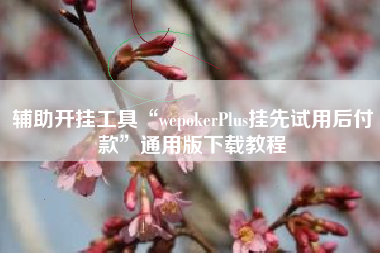 辅助开挂工具“wepokerPlus挂先试用后付款”通用版下载教程