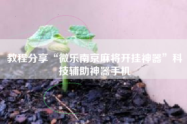 教程分享“微乐南京麻将开挂神器”科技辅助神器手机