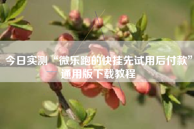 今日实测“微乐跑的快挂先试用后付款”通用版下载教程