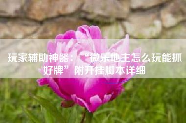 玩家辅助神器：“微乐地主怎么玩能抓好牌	”附开挂脚本详细