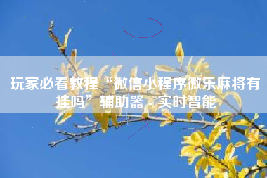 玩家必看教程“微信小程序微乐麻将有挂吗”辅助器 - 实时智能