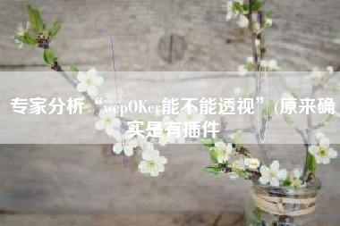 专家分析“wepOKer能不能透视”(原来确实是有插件