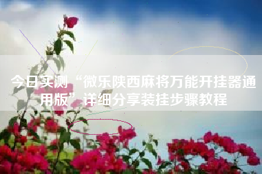 今日实测“微乐陕西麻将万能开挂器通用版”详细分享装挂步骤教程