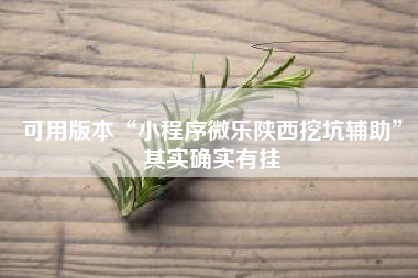 可用版本“小程序微乐陕西挖坑辅助”其实确实有挂