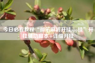 今日必看教程“微乐麻将开挂app挂	”开挂辅助脚本+详细开挂