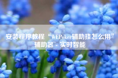 安装程序教程“WEPoker辅助挂怎么用	”辅助器 - 实时智能