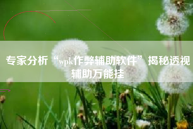 专家分析“wpk作弊辅助软件	”揭秘透视辅助万能挂
