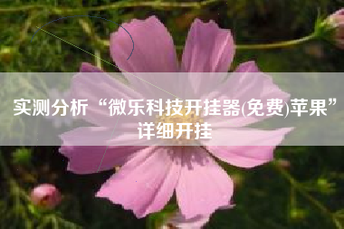 实测分析“微乐科技开挂器(免费)苹果”详细开挂