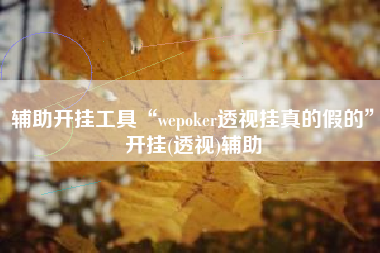 辅助开挂工具“wepoker透视挂真的假的”开挂(透视)辅助