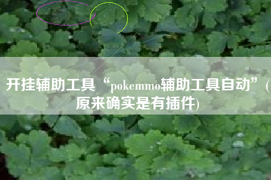 开挂辅助工具“pokemmo辅助工具自动	”(原来确实是有插件)