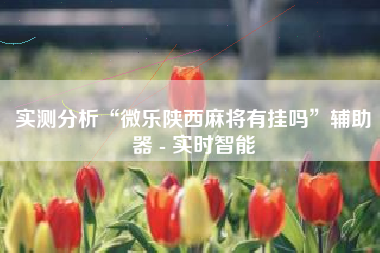 实测分析“微乐陕西麻将有挂吗”辅助器 - 实时智能