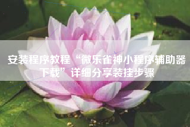 安装程序教程“微乐雀神小程序辅助器下载”详细分享装挂步骤