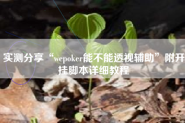 实测分享“wepoker能不能透视辅助”附开挂脚本详细教程