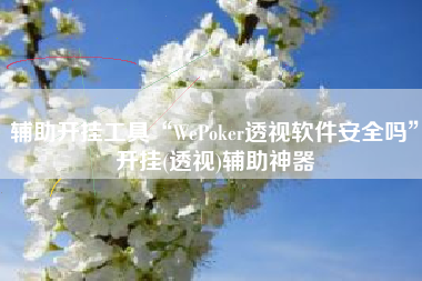 辅助开挂工具“WePoker透视软件安全吗”开挂(透视)辅助神器