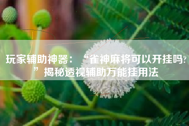 玩家辅助神器：“雀神麻将可以开挂吗?”揭秘透视辅助万能挂用法