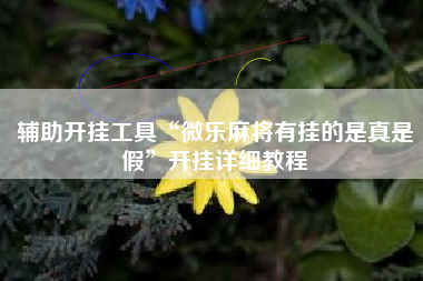 辅助开挂工具“微乐麻将有挂的是真是假	”开挂详细教程