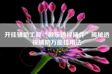 开挂辅助工具“微乐透视插件	”揭秘透视辅助万能挂用法