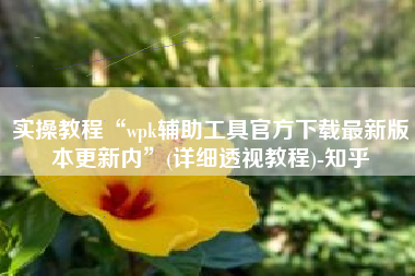 实操教程“wpk辅助工具官方下载最新版本更新内”(详细透视教程)-知乎