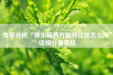 专家分析“微乐麻将万能开挂器怎么用	”详细分享装挂