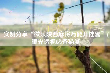 实测分享“微乐陕西麻将万能开挂器	”(曝光透视必备猫腻