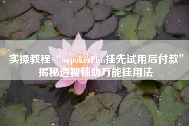实操教程“wepokerPlus挂先试用后付款	”揭秘透视辅助万能挂用法